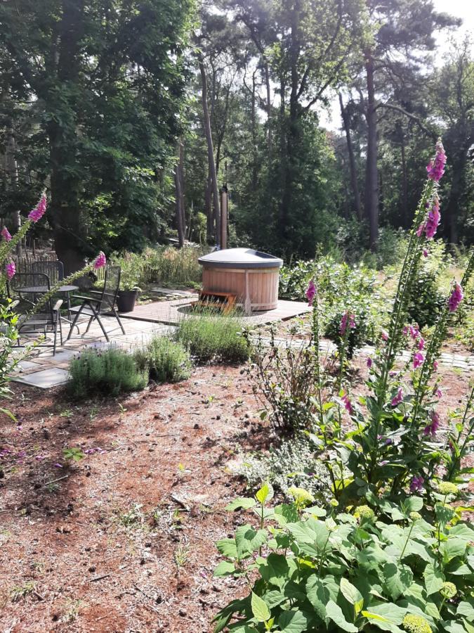 Vakantiehuis Met Hottub En Barrelsauna Ommen Exterior foto