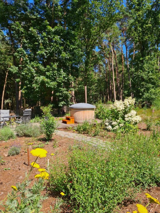 Vakantiehuis Met Hottub En Barrelsauna Ommen Exterior foto